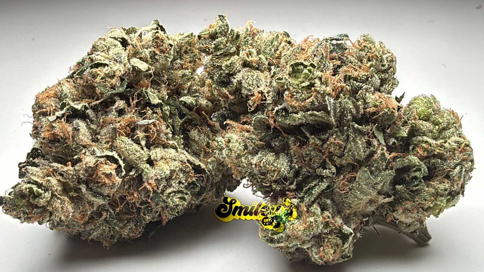 master-kush