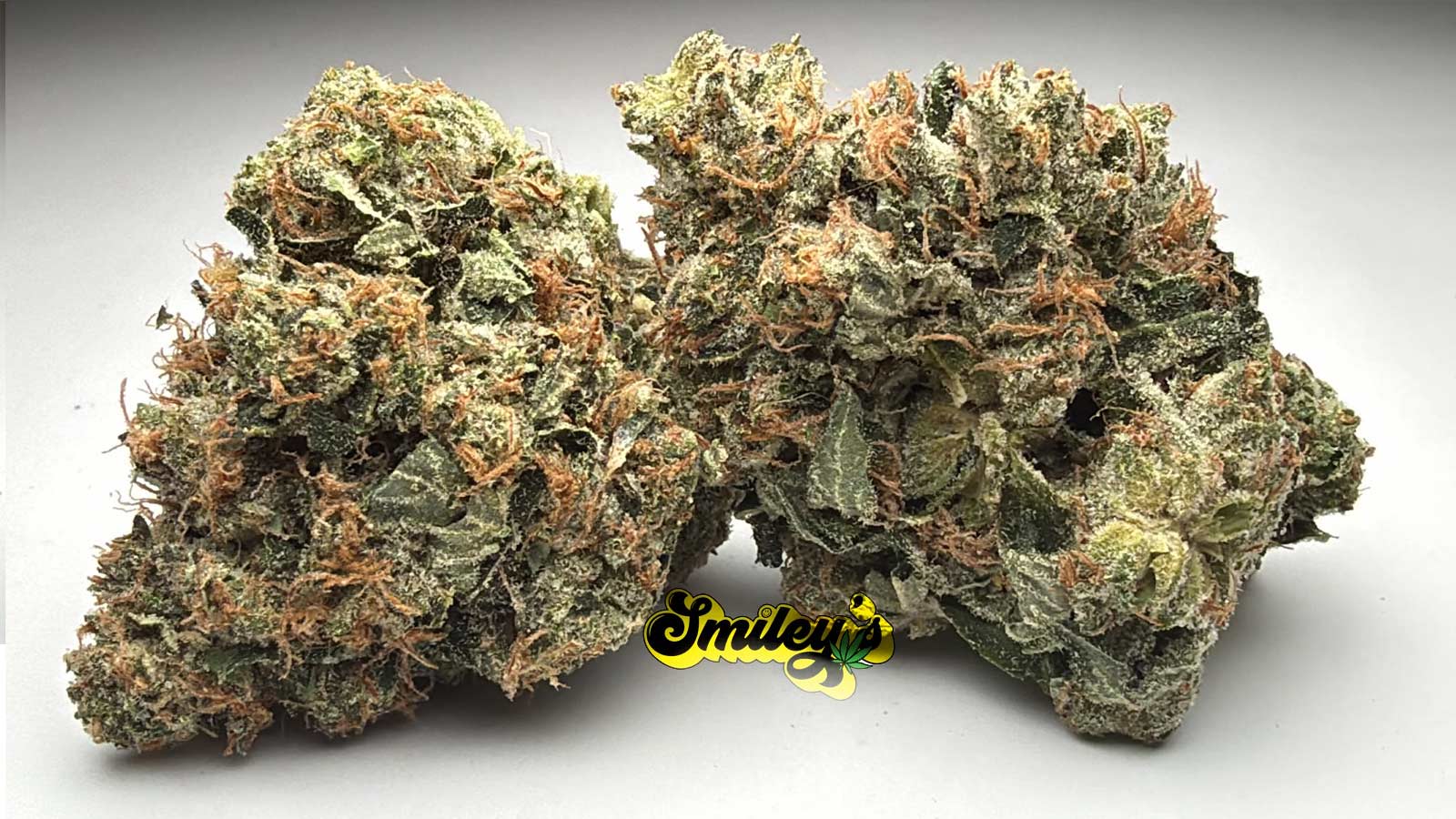 Pinkkush