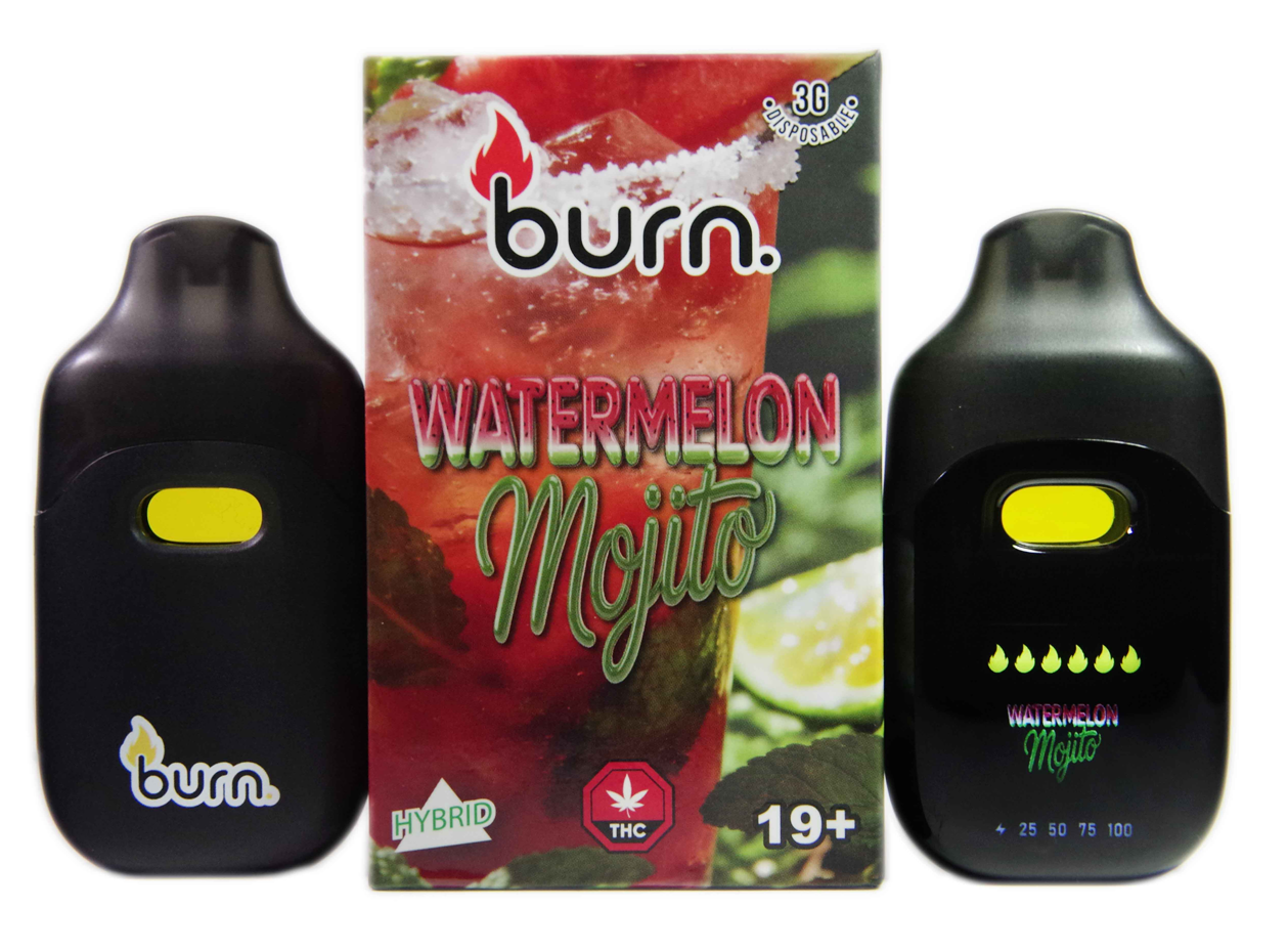 watermelon-mojito-front2
