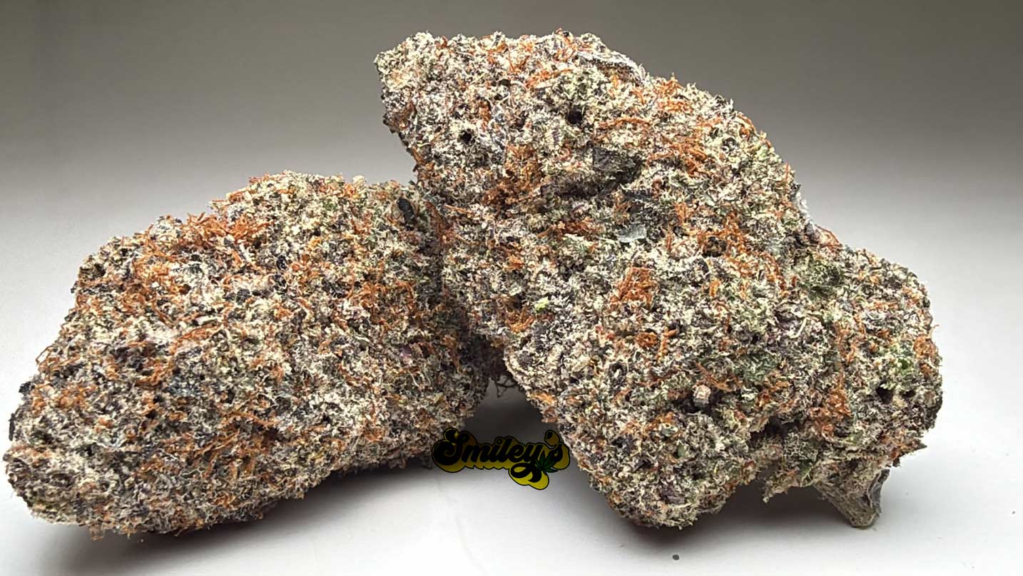 Night-Nurse