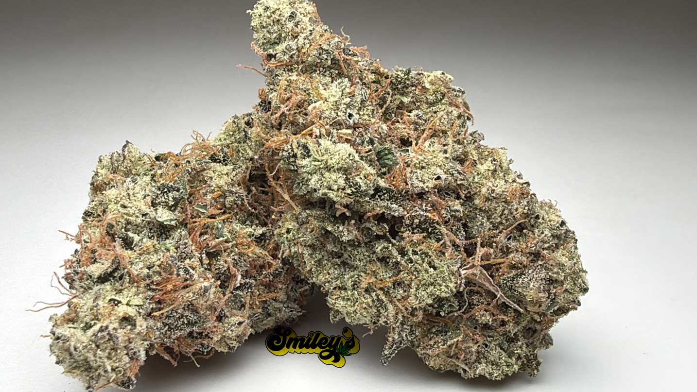 GMO-Cookies-AAAA