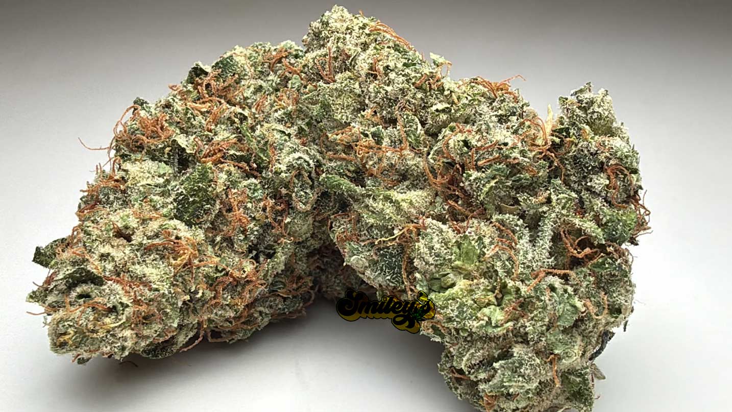 Lemon-Meringue-AAA